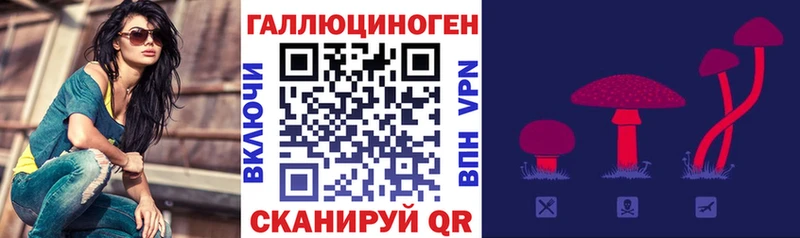 mega как зайти  Реутов  Галлюциногенные грибы мицелий 