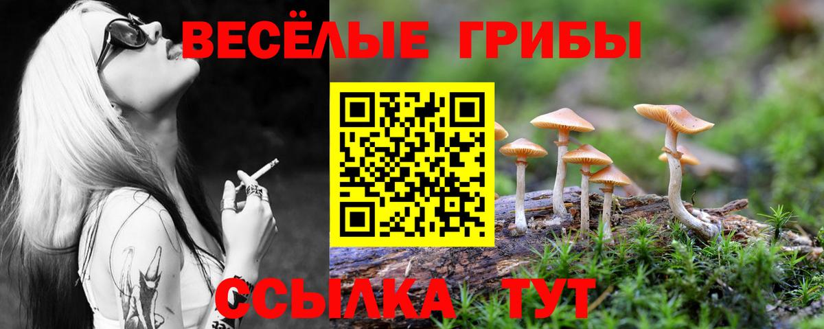 Галлюциногенные грибы Cubensis  Вход с VPN  Реутов  Псилоцибиновые грибы ЛСД 